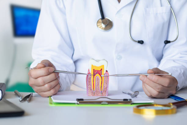 Best Emergency Denture Repair in Ojai, CA